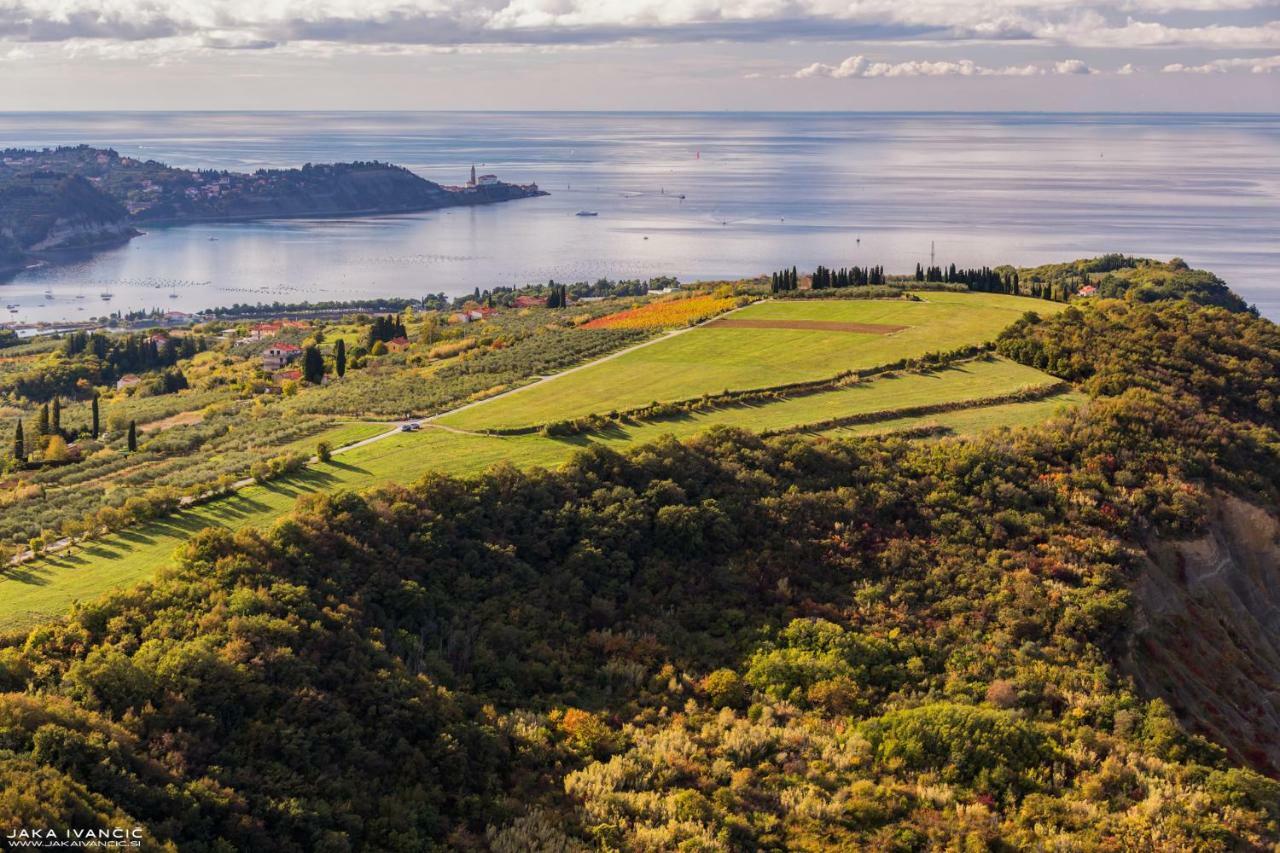 Istrian Lux Residence Capodistria Esterno foto